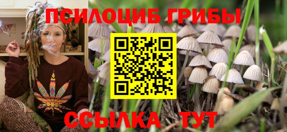 Псилоцибиновые грибы Magic Shrooms  Вход с VPN  Псилоцибиновые грибы Magic Shrooms  хочу   Губаха 