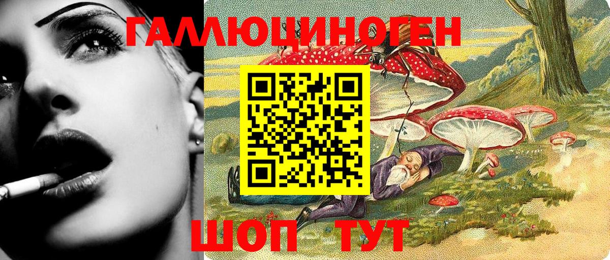 Псилоцибиновые грибы мицелий Губаха